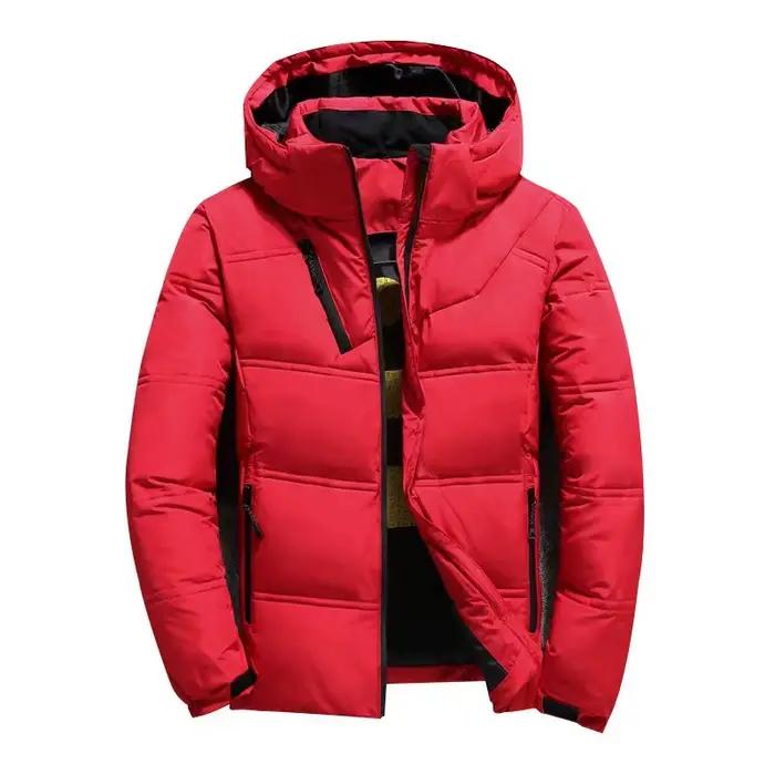 Nouvelle veste en duvet pour homme, tendance coréenne, courte, épaisse, pour l'hiver, décontractée,